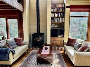 Fernseher, Kamin, DVD-Player, Bücher