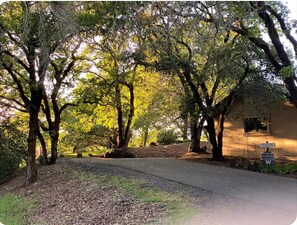 Property grounds - Secluded Vineyard Estate Healdsburg (Healdsburg)