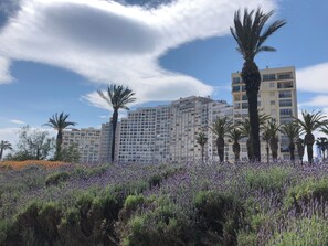 Un hôtel à plusieurs étages, entouré de palmiers et bordé d’un champ de lavande.