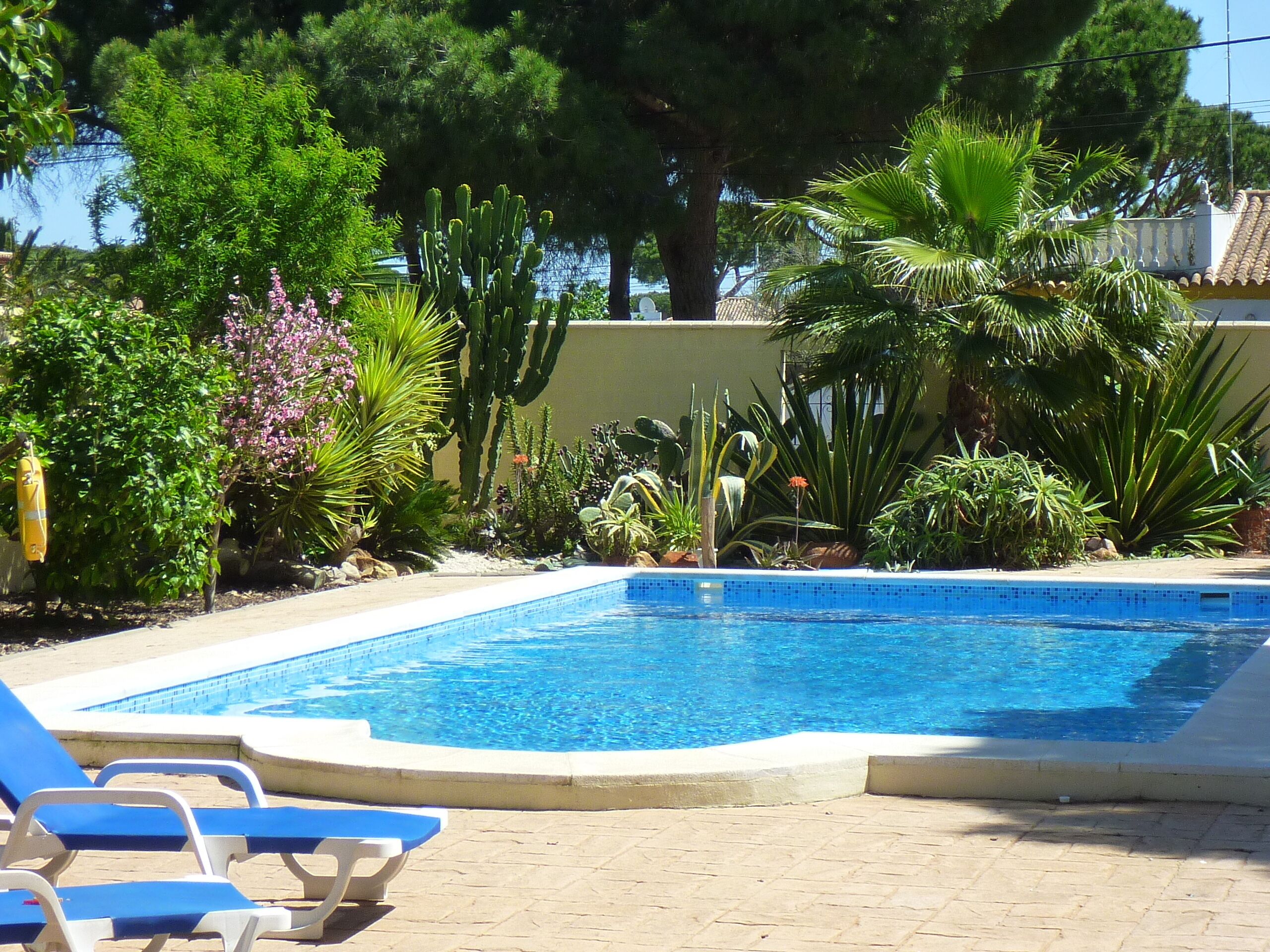 Piscine extérieure, chaises longues