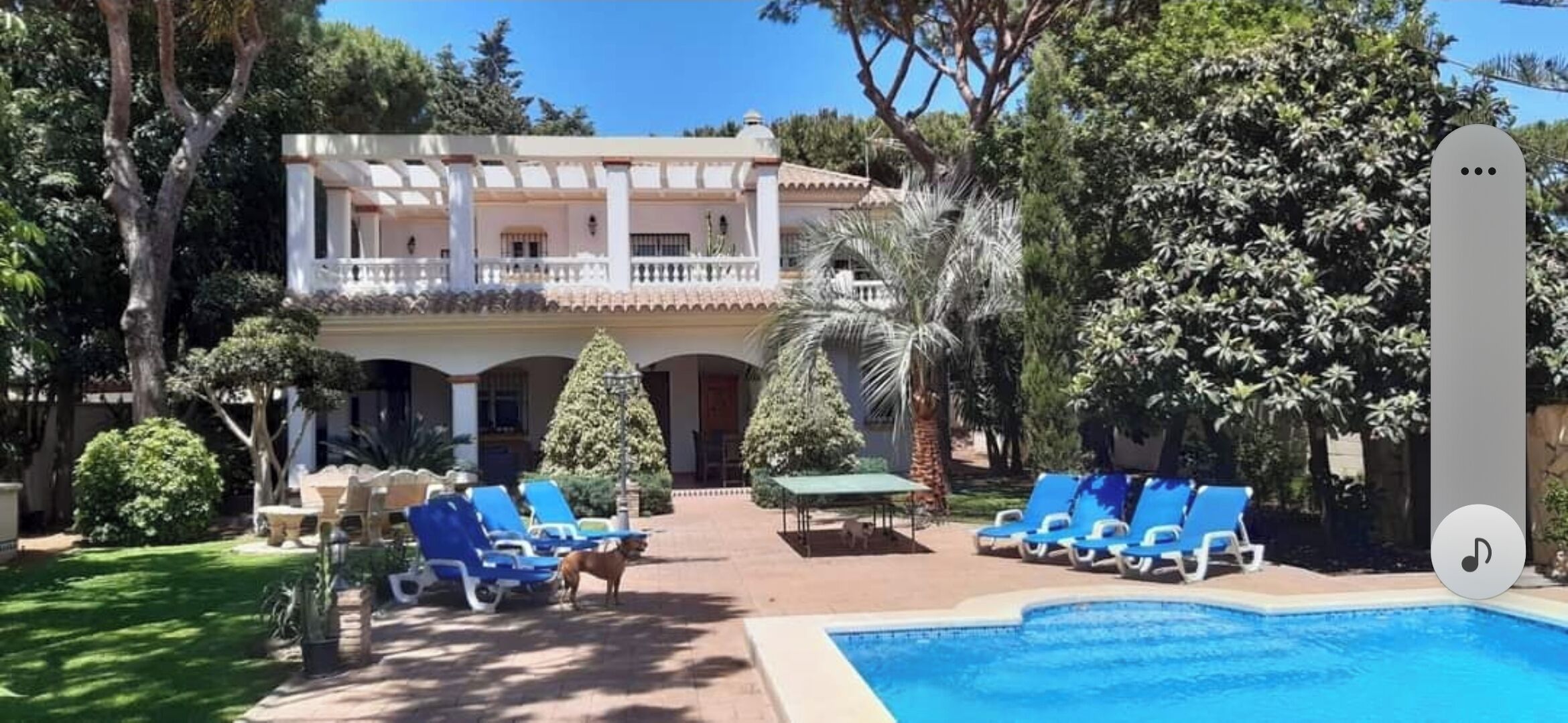 Een buitenzwembad, ligstoelen bij het zwembad