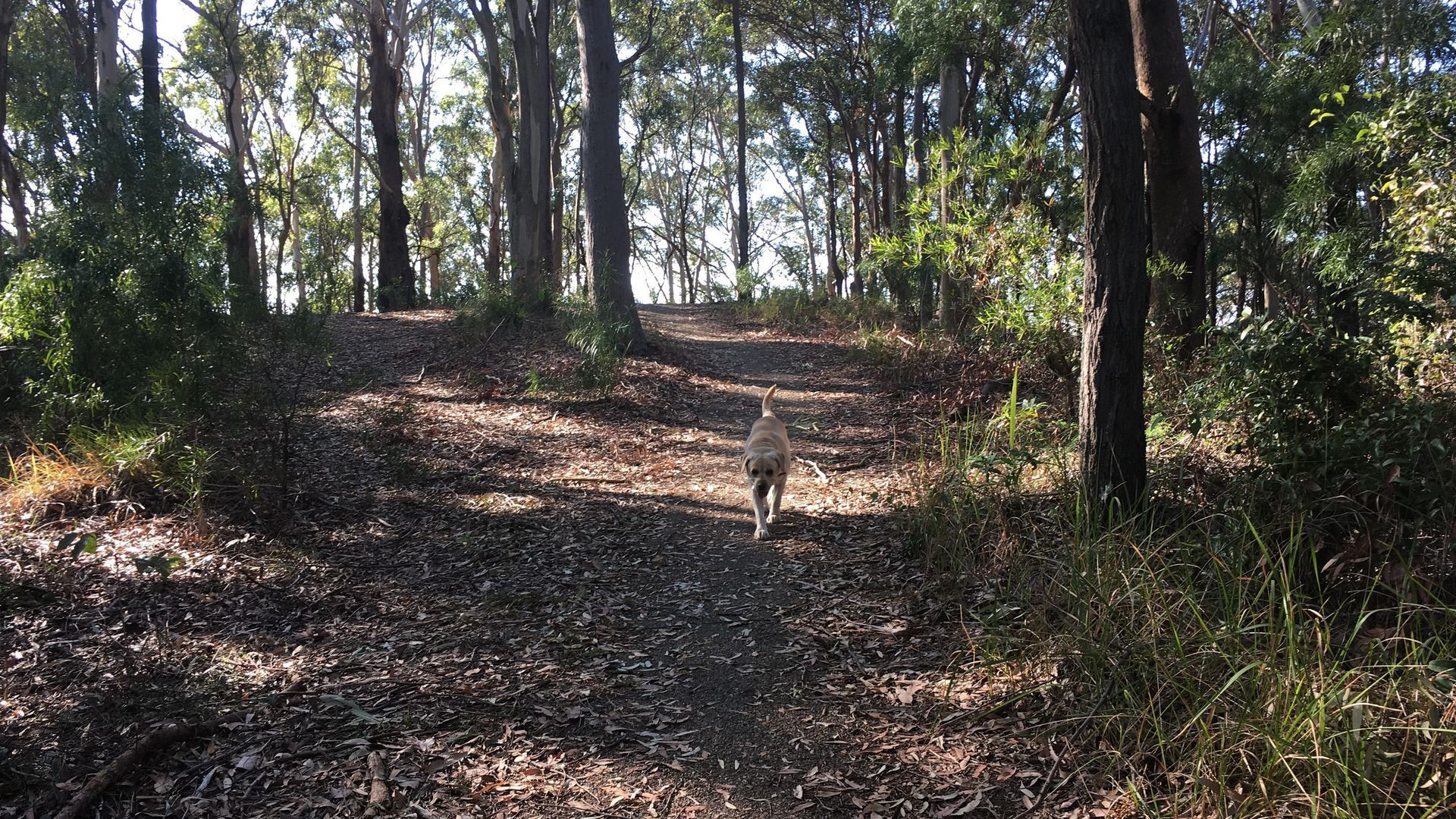 French style Bed&Breakfast on the Gold Coast\n\n — image 25