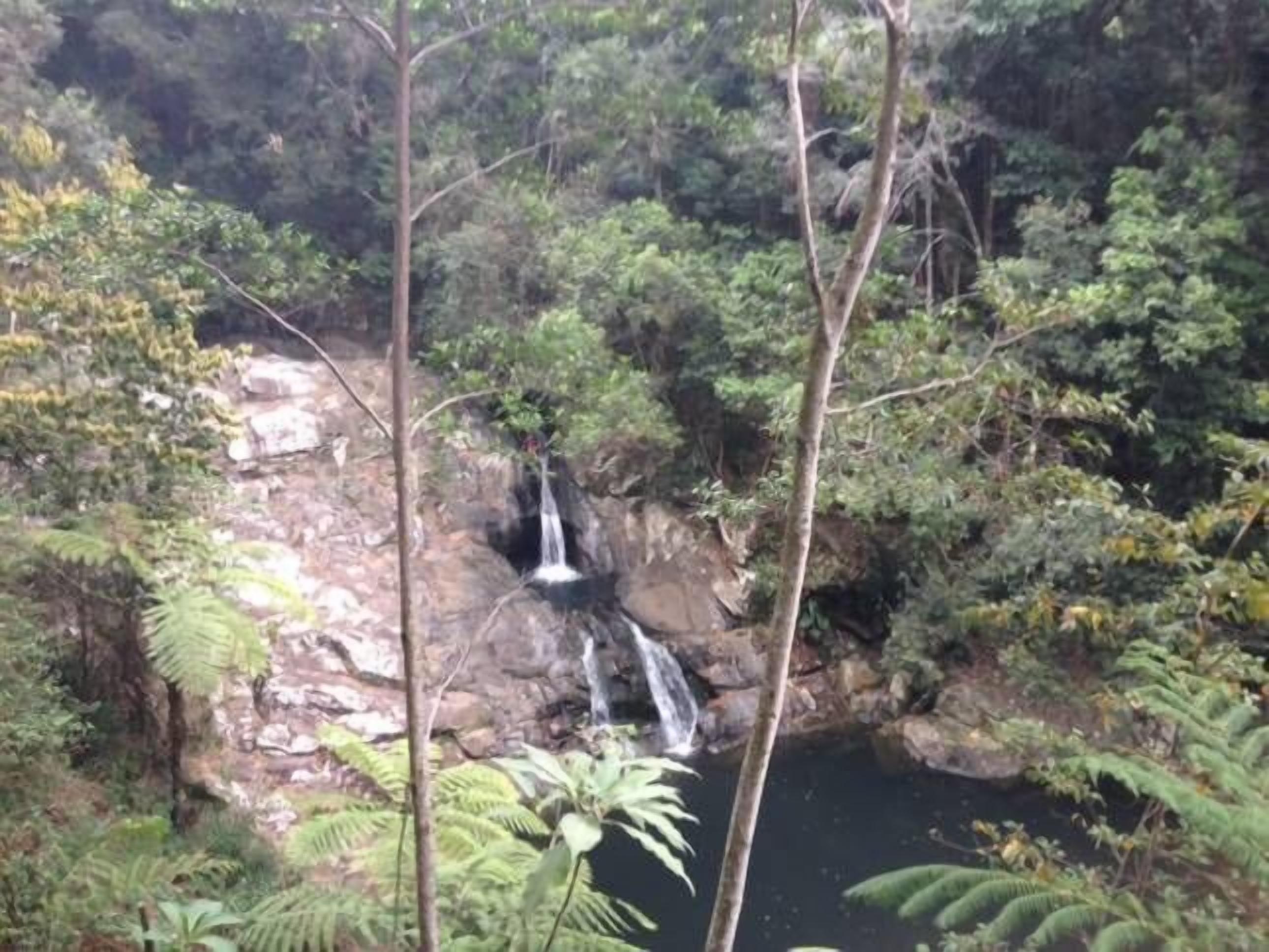 French style Bed&Breakfast on the Gold Coast\n\n — image 26