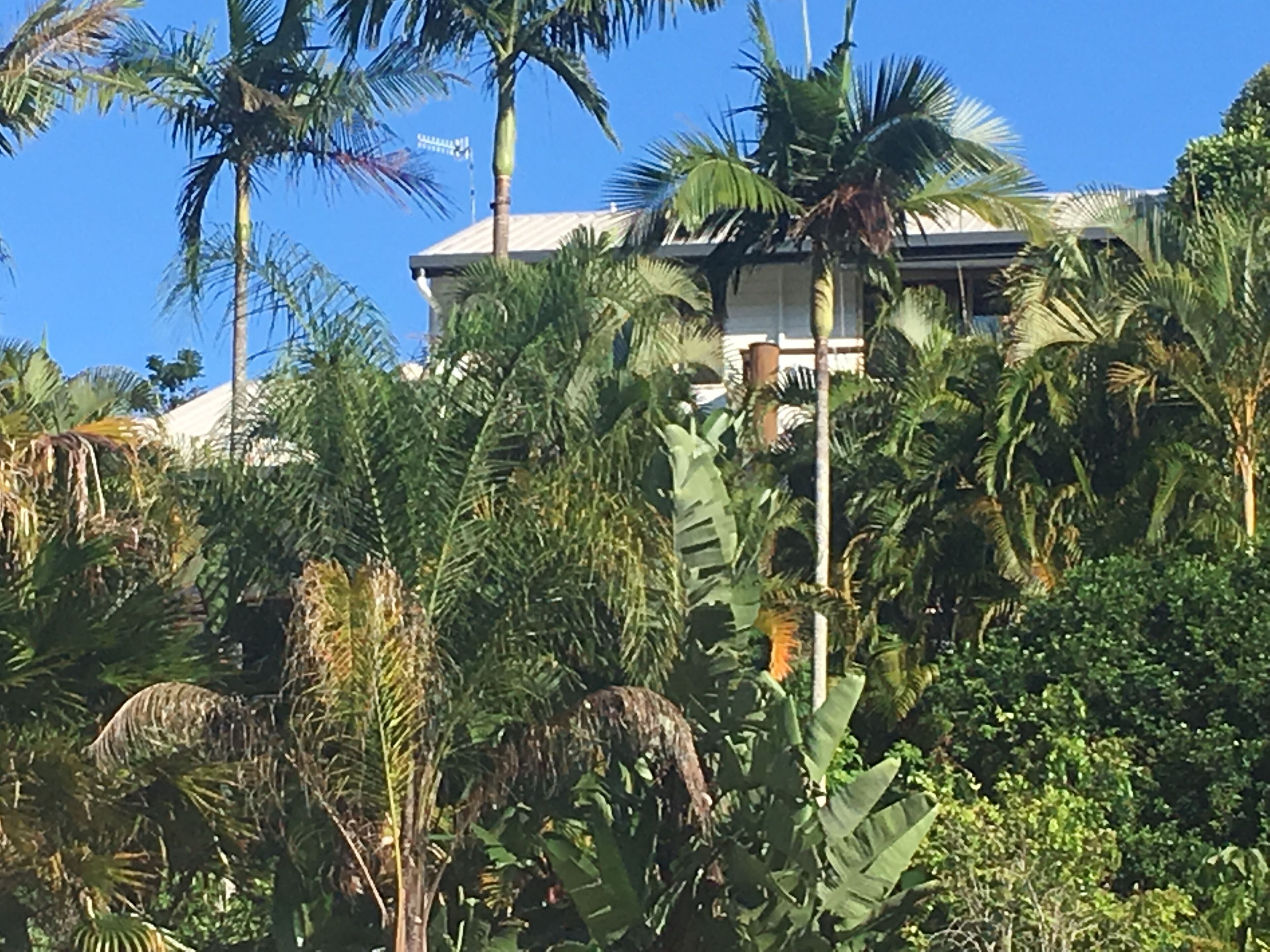 French style Bed&Breakfast on the Gold Coast\n\n — image 29