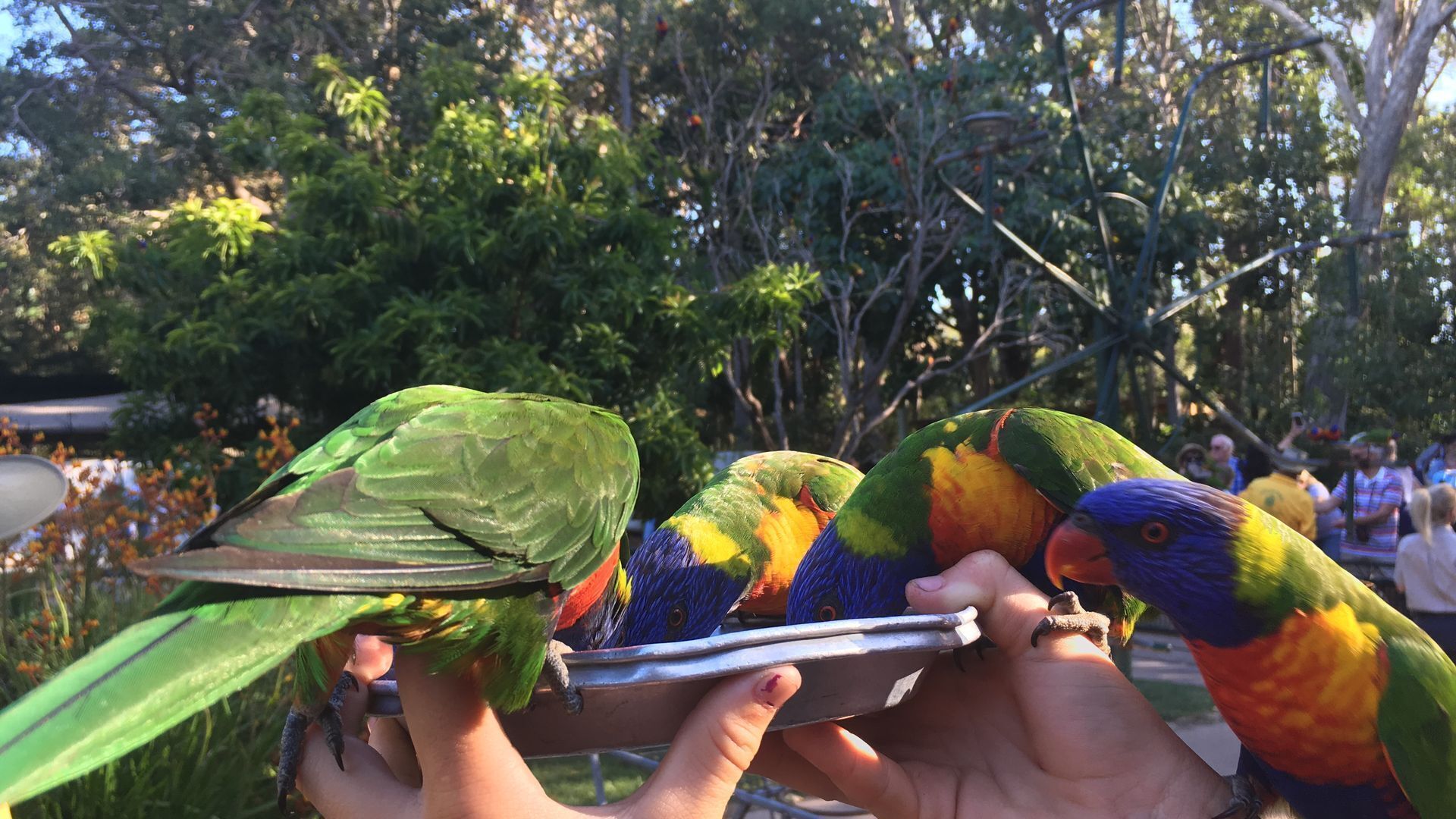 French style Bed&Breakfast on the Gold Coast\n\n — image 5