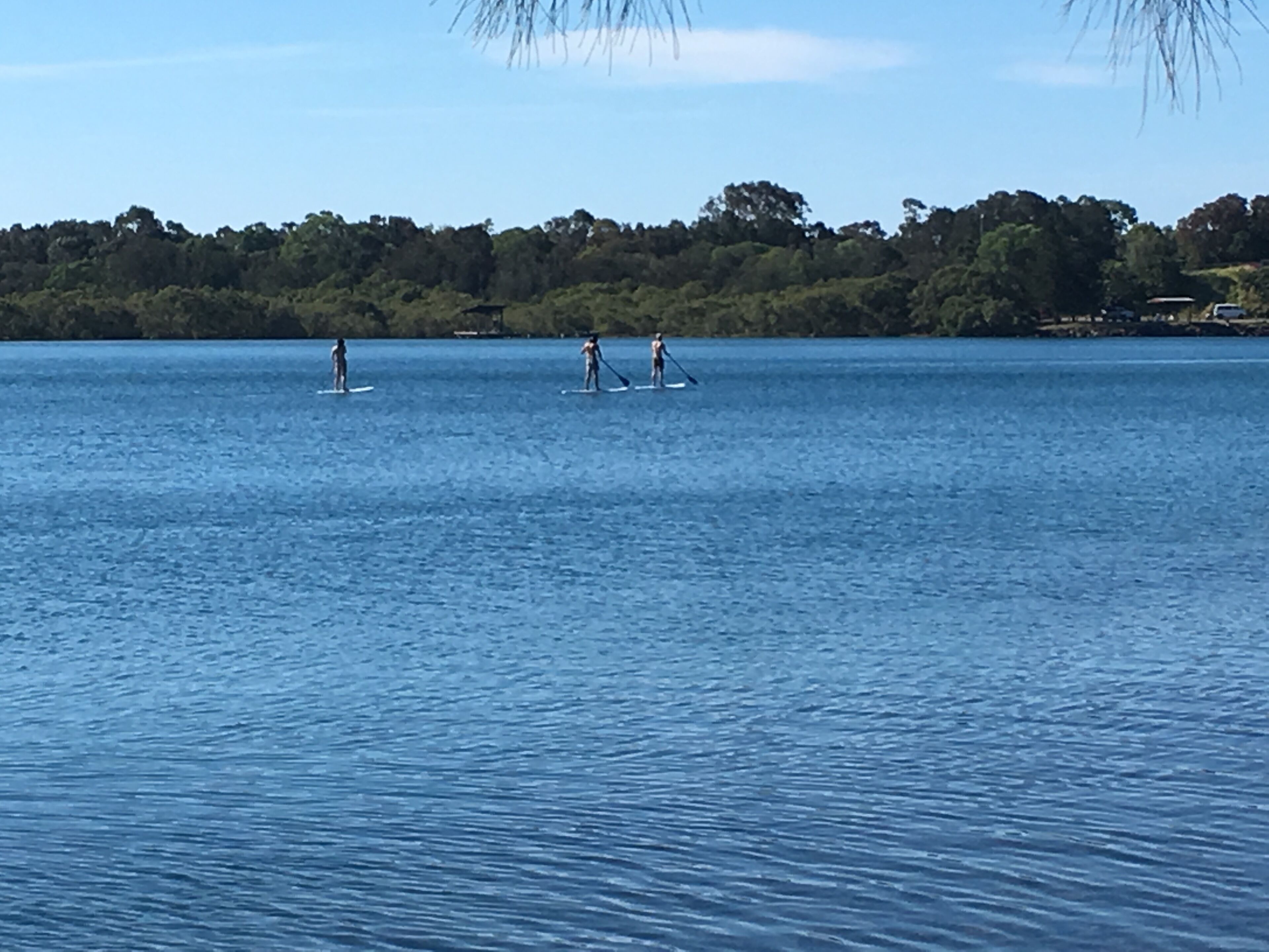 French style Bed&Breakfast on the Gold Coast\n\n — image 28