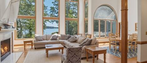 Smart TV, fireplace, DVD player, books