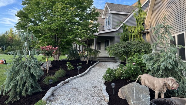 A residential property with a gravel driveway, a large tree, and a dog. - Luxury Home w/INDOOR POOL 20mins BarHarbor boardersAcadia National Par (Bernard)