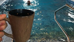 A wooden cabin interior with a swimming pool, a metal ladder, and a person holding a mug. - Luxury Home w/INDOOR POOL 20mins BarHarbor boardersAcadia National Par (Bernard)