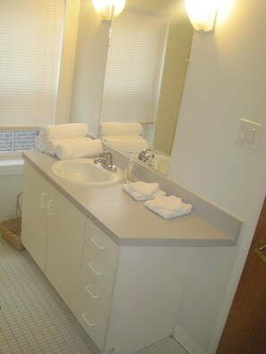 Combined shower/bathtub, hair dryer, towels, toilet paper - Beautiful House in Heart of Center City Philadelphia (Philadelphia)