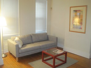 TV - Beautiful House in Heart of Center City Philadelphia (Philadelphia)