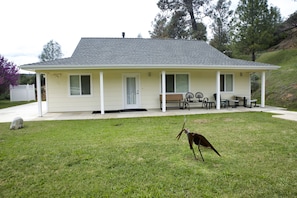 Exterior - Yosemite Country Cottage~Private~Quiet~Star Gazing~Non-smokers/vapers~No animals (Midpines)