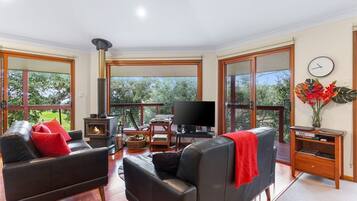 TV, fireplace, Netflix, streaming services
