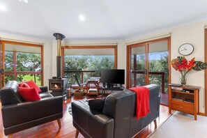 TV, fireplace, Netflix, streaming services