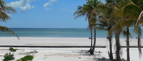 Playa en los alrededores, camastros y toallas de playa