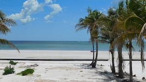 A beach with white sand, palm trees, and a clear blue sky. - Spectacular Beach Cottage, Pet Friendly, Gulf Views, Great for Families (Fort Myers Beach)