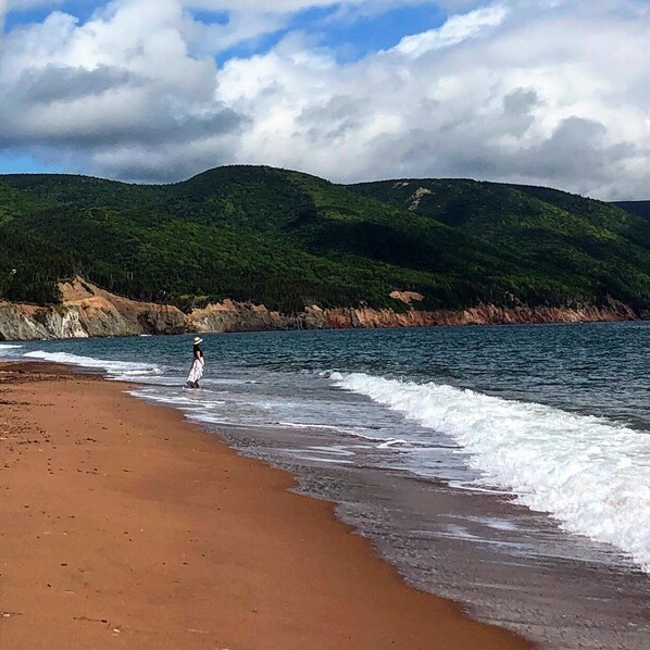 Plage à proximité, chaises longues, serviettes de plage