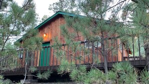 A rustic cabin with a green door and a small porch. - Mountain-side Cabin with hot tub! Close To Town And Skiing on 1.1 acres.  (Ruidoso)
