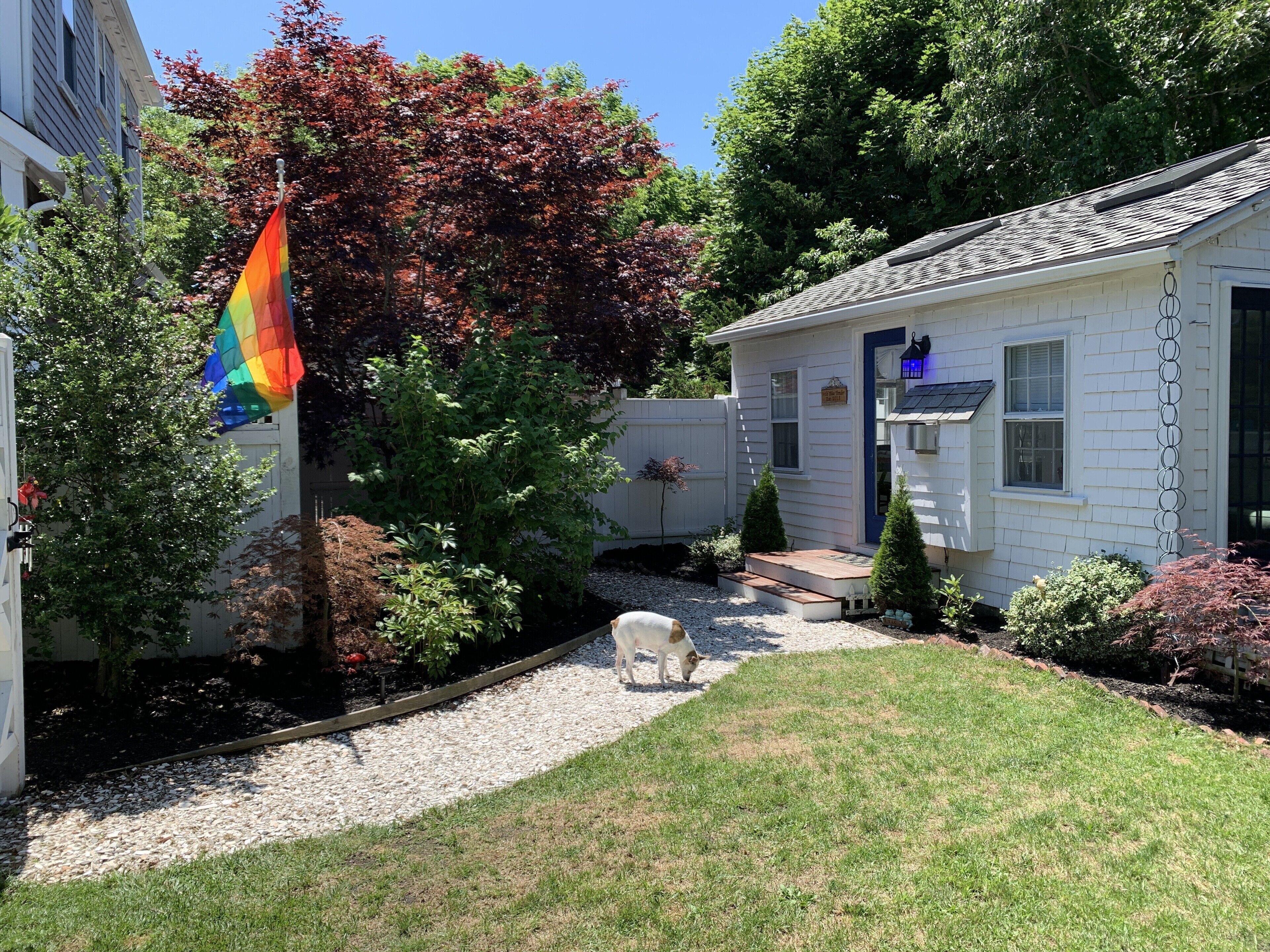 Una casa con un pequeño jardín delantero, una bandera y un perro.
