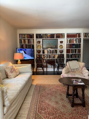Smart TV, chimenea y libros 