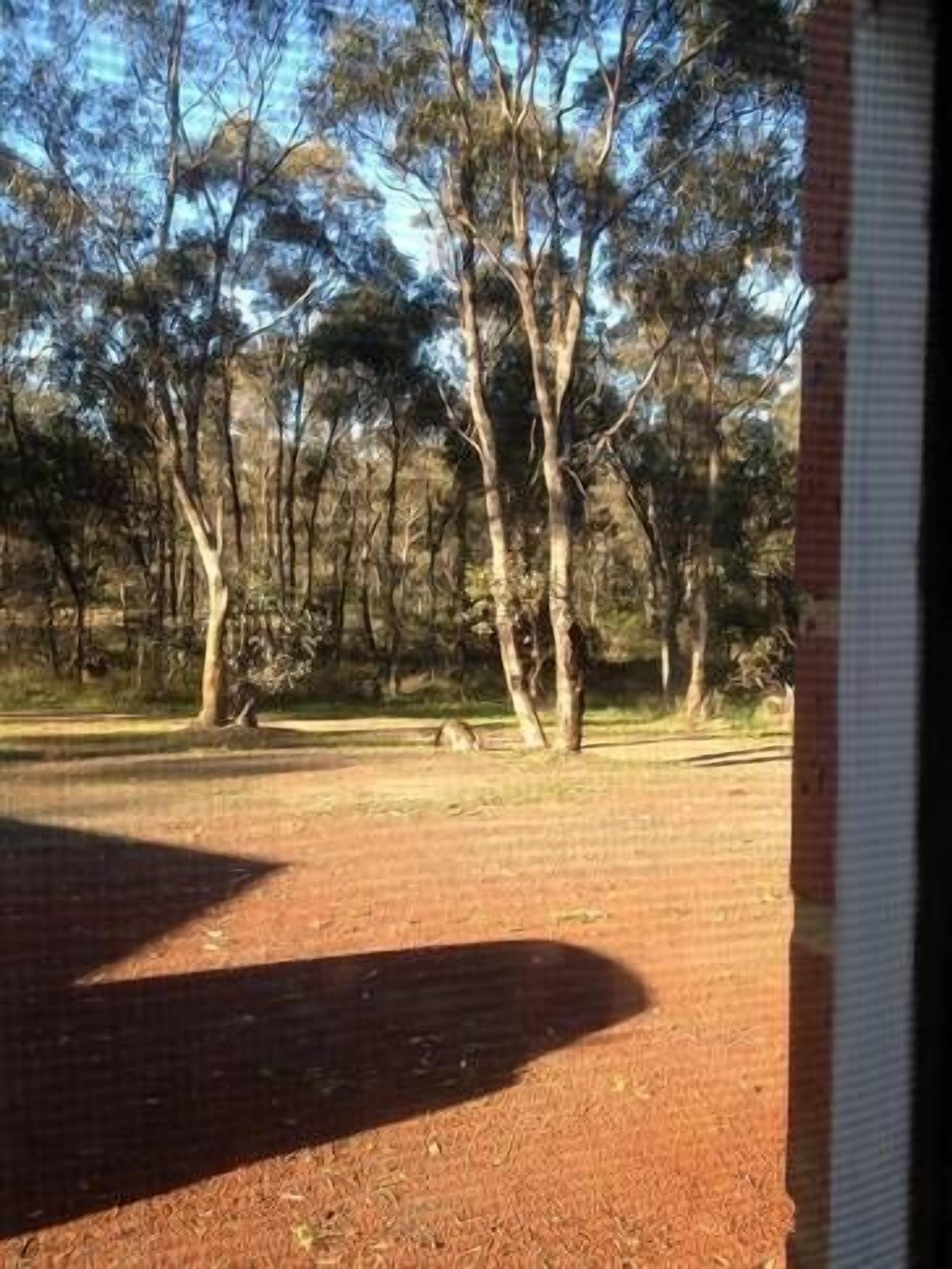 The cottage - Strathfieldsaye Bendigo