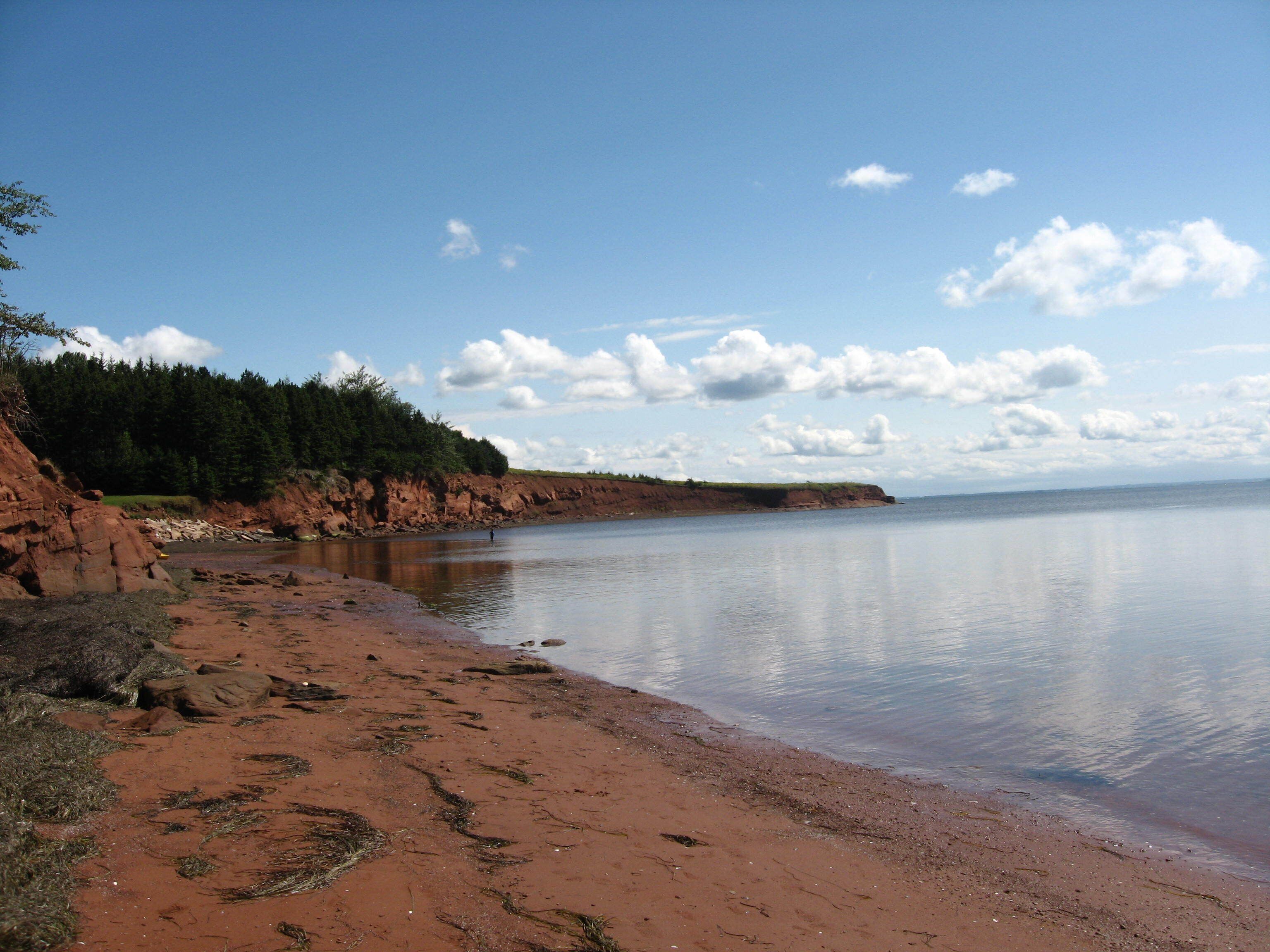 Plage à proximité, chaises longues, serviettes de plage