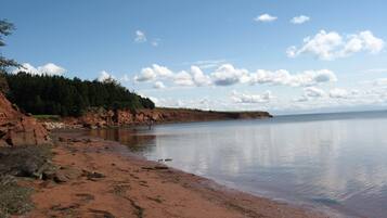 Plage à proximité, chaises longues, serviettes de plage