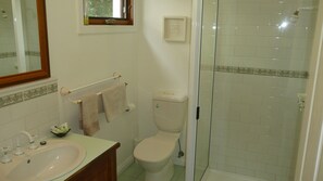 Ducha y bañera combinadas, bañera de hidromasaje y secador de pelo