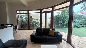 Televisor, llar de foc, reproductor de DVD i llibres