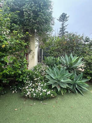 Property grounds - Esplanade Beach House with beautiful sea views (Semaphore)