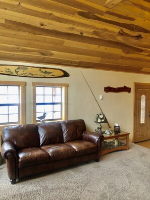 TV connectée, cheminée, lecteur de DVD, chaîne hi-fi