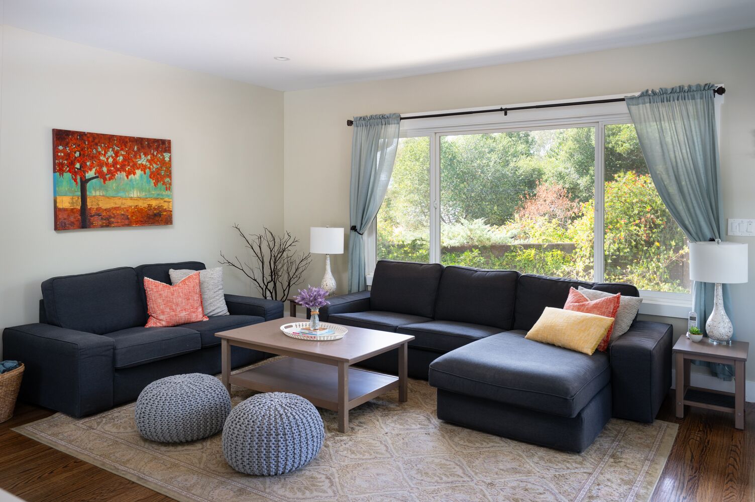 Lovely Home & Cottage with Pool, Bocce and Game Room Near Sonoma Square