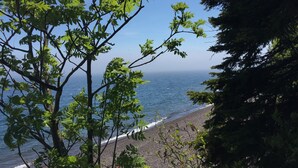 A beach with trees in the foreground and the ocean in the background. - Lake Superior Luxury Log Home, Sauna, Waterfront, Amazing Views (Two Harbors)