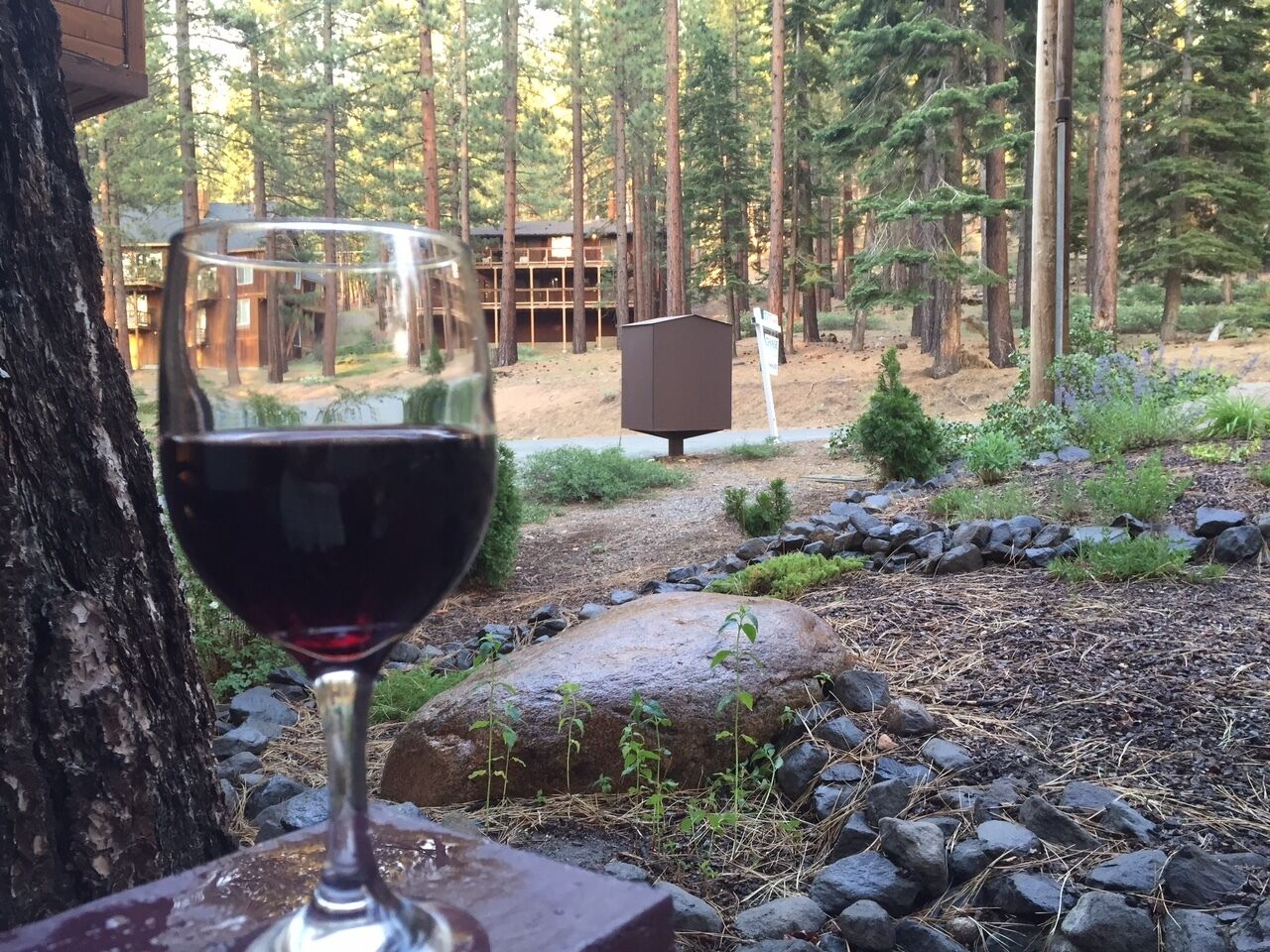 Front yard