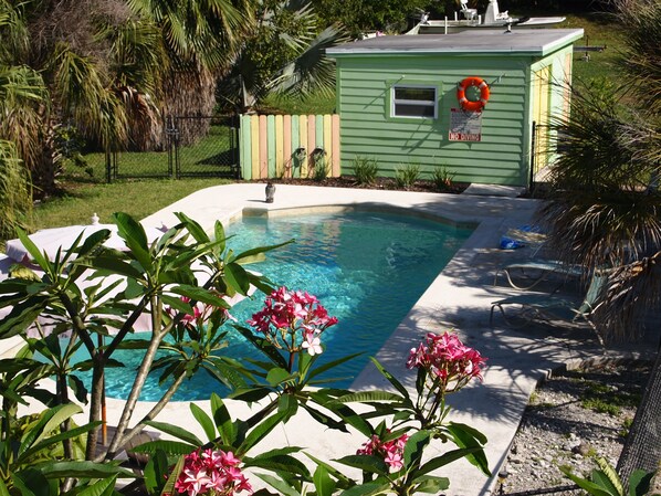 A swimming pool with a green building in the background, surrounded by lush greenery and a clear sky. - Private Oceanfront Cottage with dockage, pool just minutes to Key West! (Cudjoe Key)