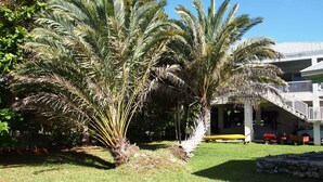 A well-maintained lawn with palm trees and a building with a balcony. - Private Oceanfront Cottage with dockage, pool just minutes to Key West! (Cudjoe Key)