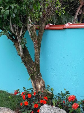 Detalhe da fachada