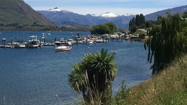 A marina with boats docked, surrounded by mountains and greenery.
