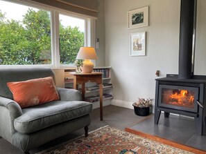 Smart TV, fireplace, books