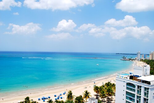 Stunning 18th floor remodeled 2/2, beachfront! MONTHLY RENTALS CONSIDERED