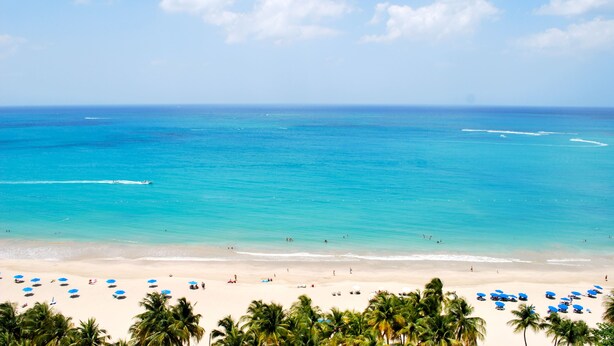 A beach with clear turquoise water, palm trees, and blue umbrellas. - Stunning 18th floor remodeled 2/2, beachfront! MONTHLY RENTALS CONSIDERED (Carolina)