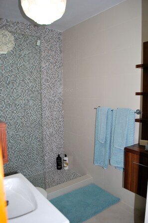 Dusche, Haartrockner, Handtücher, Seife