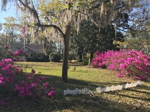 Terrein van de accommodatie