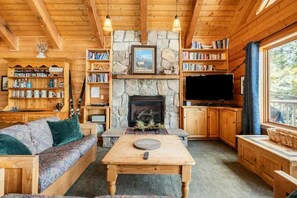 Cozy living room with a central fireplace, bookshelves, and a comfortable sofa.
