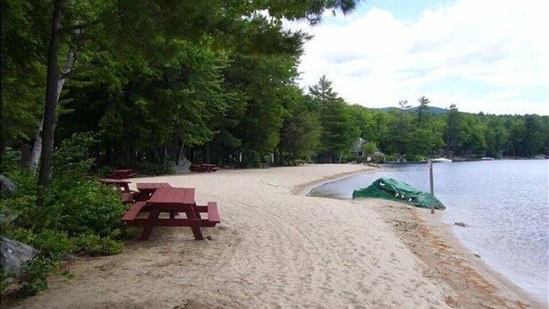 Een zandstrand met picknicktafels en een overdekt gedeelte, omgeven door dichte bomen en een waterpartij.