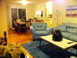 Smart TV, fireplace, DVD player, stereo