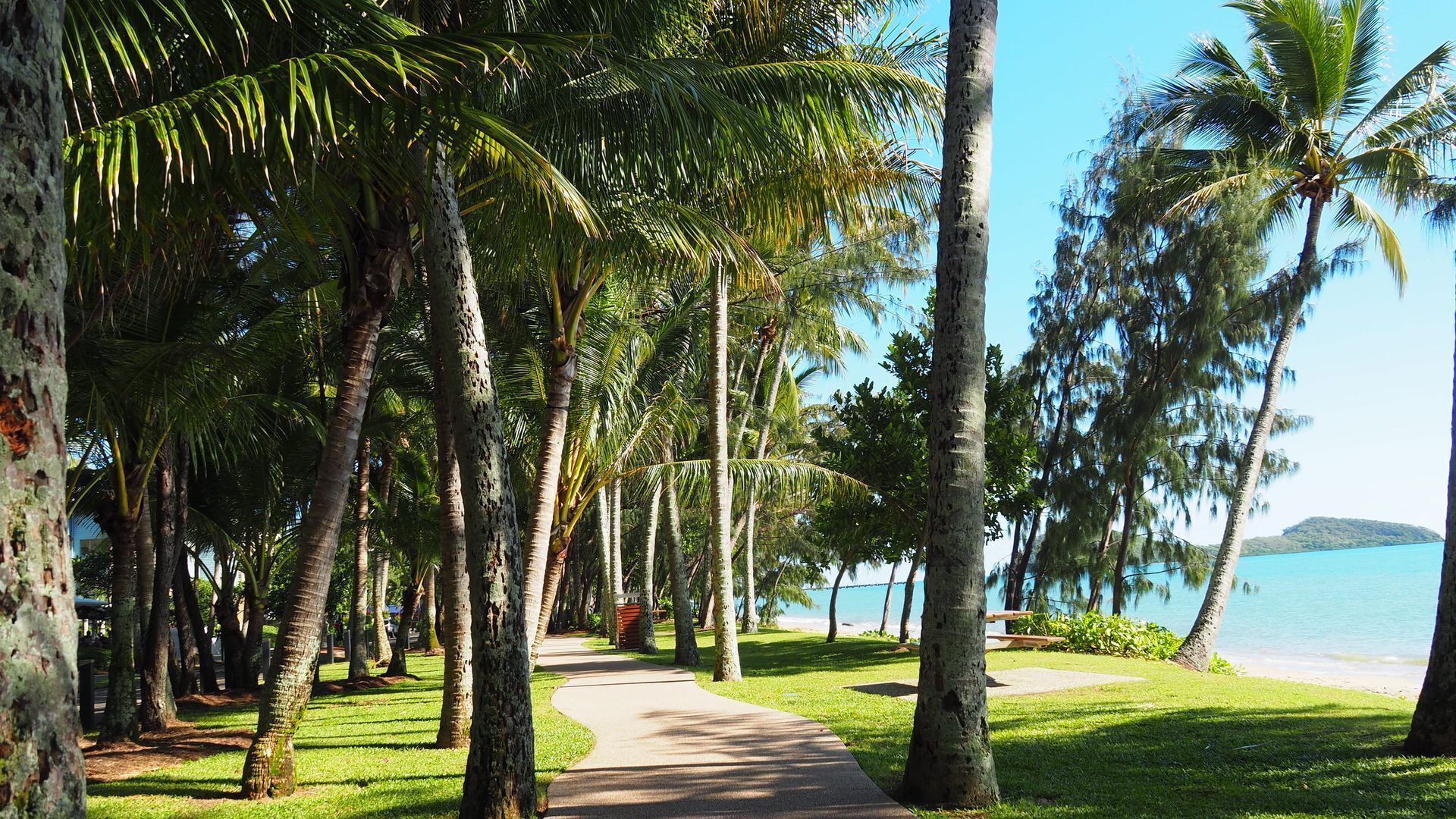 1405- DRIFT RESORT- LARGE FAMILY APARTMENT WITH STUNNING OCEAN VIEWS  — image 21