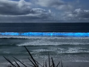 Sulla spiaggia, teli da spiaggia