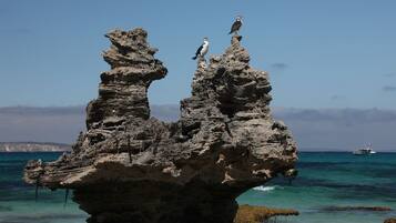 På stranden och strandhanddukar