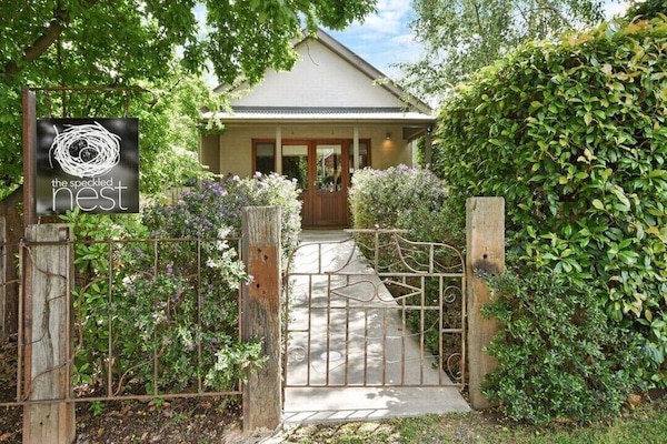 The Speckled Nest Studio